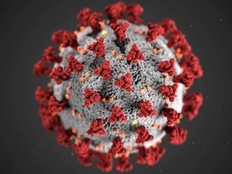 9 More Virus-Inspired Baby Names – | Name News | Scoop.it