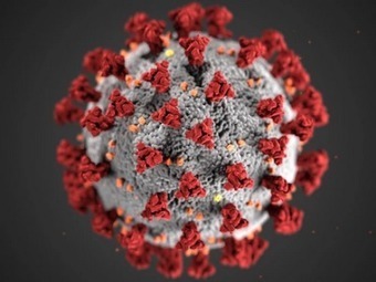 9 More Virus-Inspired Baby Names &ndash; | Name News | Scoop.it