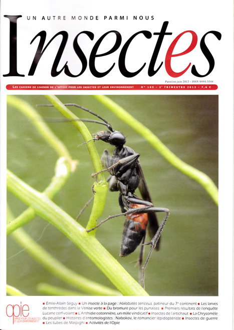 Revue Insectes n°165 (2e trimestre 2012) : les articles sont en ligne | Variétés entomologiques | Scoop.it