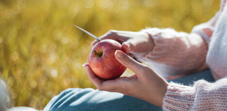 Faut-il peler les fruits, ou se prive-t-on de ce qu’ils ont de meilleur ? | Attitude BIO | Scoop.it