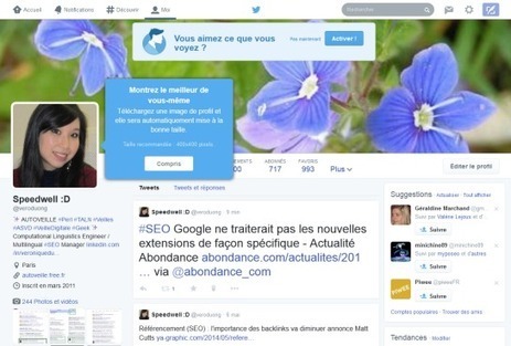 Twitter en 2014 : Choses à savoir sur le réseau social #SMO | L'E-Réputation | Scoop.it