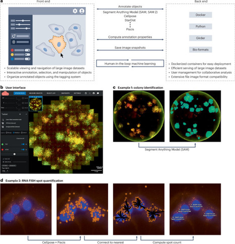 NimbusImage: a cloud-computing platform for image analysis | Nmet | RMH | Scoop.it