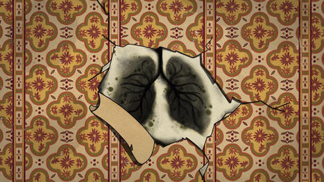 TEMOIGNAGES. "On vit dans un endroit qui nous rend malades"&nbsp;: cinq Fran&ccedil;ais nous racontent leur vie de mal-log&eacute;s | Veille territoriale AURH | Scoop.it