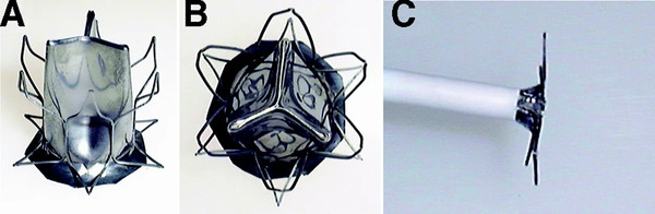 Smart Materials Applications for Pediatric Cardiovascular Devices | Transcatheter Treatment of Mitral Regurgitation | Scoop.it