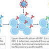 Immunology and Biotherapies