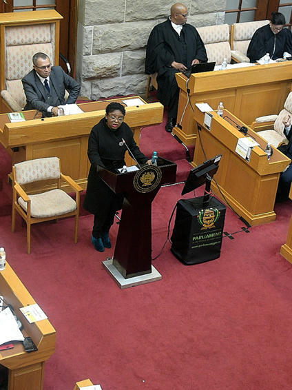 2024/2025 Budget Debate Speech by Minister in The Presidency, Khumbudzo Ntshavheni, on the occasion of Stats SA Vote 14 Debate, Cape Town | The Presidency | The Presidency | Scoop.it