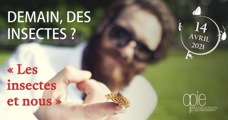 Comment les Hommes ont-ils construit leur rapport aux petites b&ecirc;tes ? R&eacute;ponse d'un ethno-entomologiste le 14 avril ! | EntomoScience | Scoop.it