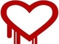 Heartbleed : l'exploitation de la faille a débuté, notamment au Canada | Cybersécurité - Innovations digitales et numériques | Scoop.it