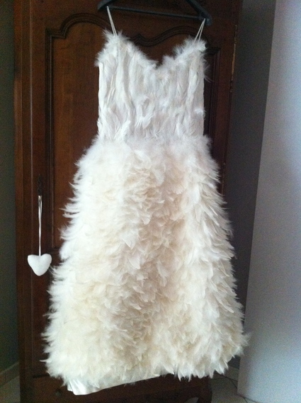 Robe a best sale plume blanche