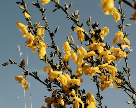 A buch of new recipes on&nbsp;film.recipes | Fujifilm X Series APS C sensor camera | Scoop.it