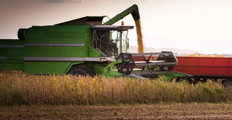 Trump trade war could haunt soybean growers for years | Revue de presse - Club DEMETER | Scoop.it