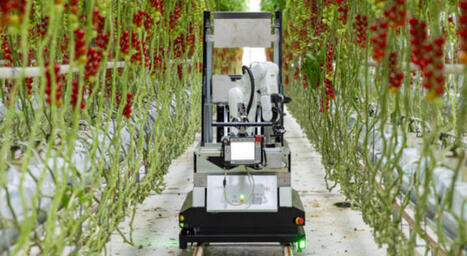F&L : De la production &agrave; la logistique : La mutation acc&eacute;l&eacute;r&eacute;e de la fili&egrave;re&nbsp; | FRUITS ET L&Eacute;GUMES | Scoop.it