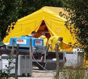 Lot et Garonne. Exercice grandeur nature : 12 000 poulets, porteurs sains d'une bactérie, ont été abattus | La Gazette des abattoirs | Scoop.it