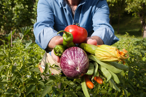 Former pour une alimentation plus saine et durable | Initiatives locales et paroles d'acteurs | Scoop.it