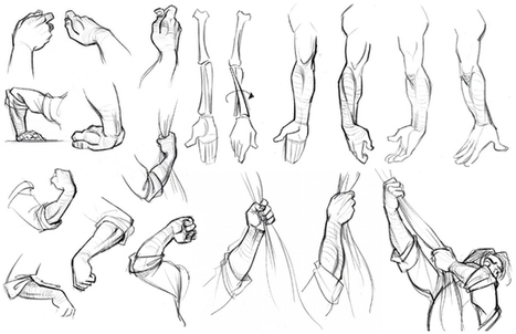 Hand Drawing Reference Guide Drawing Referenc