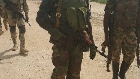 Nouveau coup dur pour Boko Haram face à l’armée nigériane | ACTUALITÉ | Scoop.it