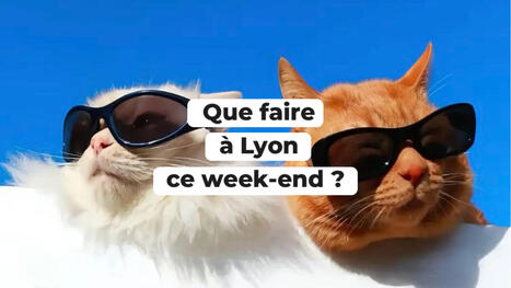 Lyon City Crunch - Que faire &agrave; Lyon ce week-end ? (10, 11 et 12 juillet 2026) | Le Sucre - revue de presse | Scoop.it