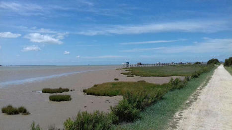 France vue sur Mer - Un vaste projet de développement des sentiers littoraux | Biodiversité | Scoop.it