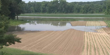 Gov. Lamont submits request for federal agriculture disaster declaration due to severe flooding - WFSB.com | Agents of Behemoth | Scoop.it