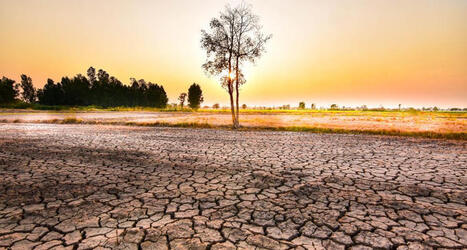 ENVIRONMENT: El Ni&ntilde;o and the global food system: the warnings from history | DURABILITES | Scoop.it