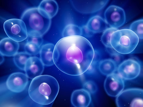 The Origin of Stem Cells | Genetics - GEG Tech top picks | Scoop.it