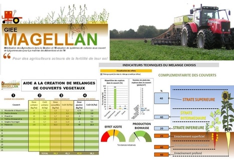 Le GIEE MagellanÂ en pleine rÃ©flexion sur les couverts d'interculture 2017 : Tableur d'aide Ã  la crÃ©ation de mÃ©langes de couverts vÃ©gÃ©taux | AC Agriculture de Conservation | Scoop.it