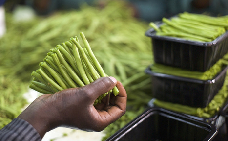 Sustainable consumption and production | Stage 4 Interconnections | Scoop.it