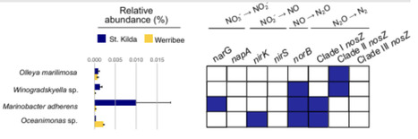 Flavobacteria consume nitrous oxide produced by partial denitrifiers in coastal sediments | isme | RMH | Scoop.it