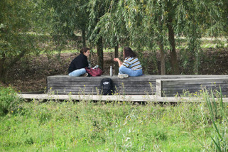 Quand le quartier p&egrave;se sur le moral&nbsp;: le lien &eacute;troit entre cadre de vie et sant&eacute; mentale | Veille territoriale AURH | Scoop.it