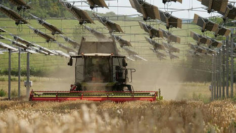 FRANCE : L'agrivoltaïsme en grandes cultures  | MED-Amin network | Scoop.it