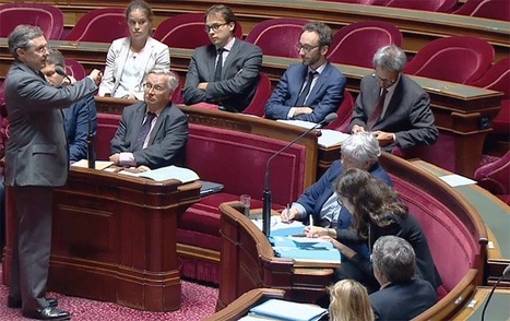 Le S&eacute;nat "corrige" la r&eacute;forme territoriale... et inscrit dans la loi l'Agence pour la coh&eacute;sion des territoires | Regards crois&eacute;s sur la transition &eacute;cologique | Scoop.it
