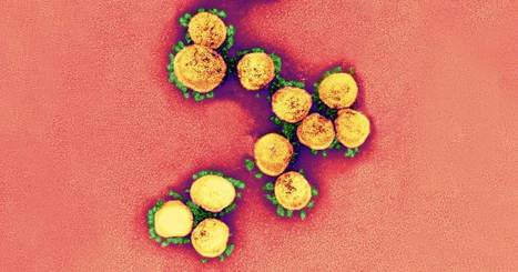 How Covid-19 Is Accelerating Human Transformation - Let’s Not Waste It   | dis.infected | Scoop.it