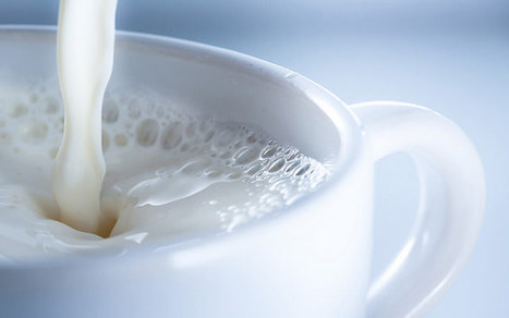 Le lait artificiel, produit d'avenir ? | Contrepoints | Lait de Normandie... et d'ailleurs | Scoop.it