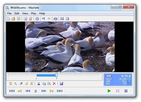 9 of the Best Free Video Editing Software to Try | Public Relations & Social Marketing Insight | Scoop.it