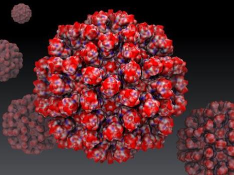 Atomic Model Of Rabbit Virus | Science News | Scoop.it