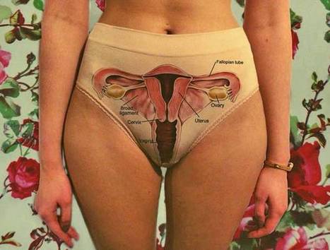 On Beyonc&eacute;, Feminist Undies and Internal Anatomy | Soup for thought | Scoop.it