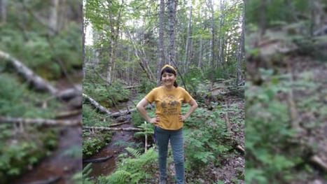 N.B. immigrant says pursuit of permanent residency was risky without paying for help | CBC News | Newcomers and Immigrants in Canada | Scoop.it