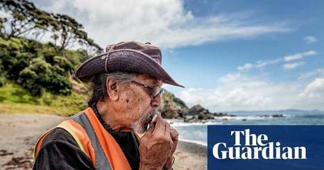 'What is the sea telling us?': Māori tribes fearful over whale strandings | Coastal Restoration | Scoop.it