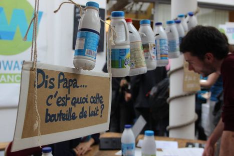 Bouteilles de lait non recyclables : un malus entrera en vigueur en 2018 | Z&eacute;ro d&eacute;chet - Info | Scoop.it