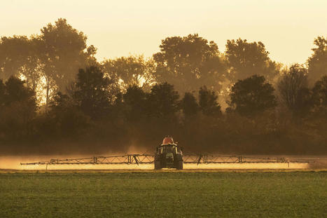 L&rsquo;Europe engag&eacute;e &agrave; la COP15 biodiversit&eacute; &agrave; r&eacute;duire de moiti&eacute; au moins le risque li&eacute; aux pesticides... sauf que : Le Parlement europ&eacute;en rejette un texte-cl&eacute; du &laquo;&nbsp;Pacte vert&nbsp;&raquo; sur leur usage | EntomoNews | Scoop.it