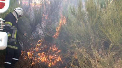 ariegeNews.com: : Brûlage dirigé: les pompiers jouent avec le feu | Pastoralisme Ours Loups Lynx | Scoop.it