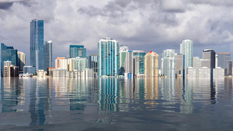 Scientist predict whether Miami will be underwater some day – NBC Miami | Agents of Behemoth | Scoop.it
