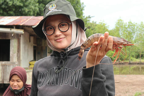 ‘We found a way to address these challenges’: How shrimp producers are redesigning farms to support mangrove restoration and coastal resilience - Responsible Seafood Advocate | Coastal Restoration | Scoop.it