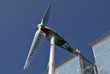 Revamped Wind Turbine Takes Design Inspiration From Dragonflies | Biomimicry | Scoop.it