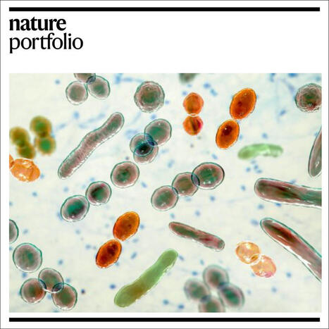 Browse the recently published open... - Nature Portfolio | Mucosal Immunity | Scoop.it