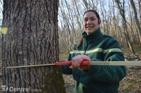 Caroline Merret gère 1.700 ha de forêts pour l'ONF | Biodiversité | Scoop.it