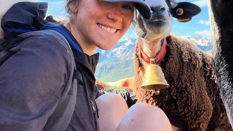 Ovinpiades des Jeunes Bergers - NR Pyréenées | Pour innover en agriculture | Scoop.it