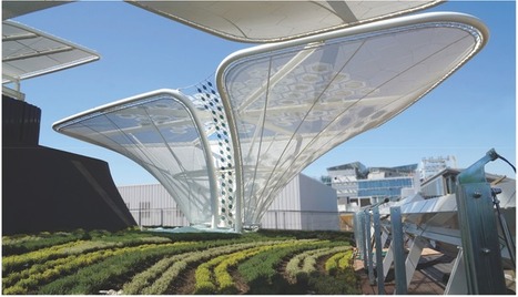 Architectural Highlight – OPV Solar Trees | Technology in Business Today | Scoop.it