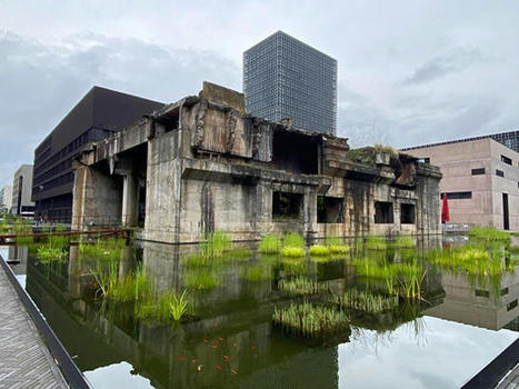 | APPEL À CANDIDATURE 2021-22  | École Offshore | Nancy - Belval - Shanghai | Kunming-Yunnan | Scoop.it