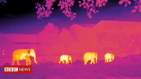 Conservationists use astronomy software to save species | Amazing Science | Scoop.it
